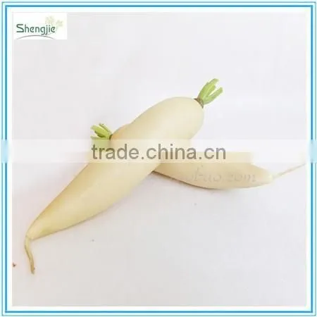 Shengjie Artificial Decoration Plastic Vegetable photo-2