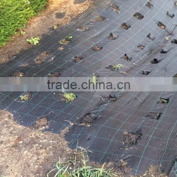 Weed Control Ground Cover Membrane Landscape Fabric photo-6