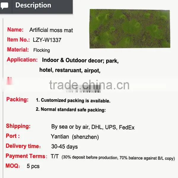 Hot Sale Artificial Moss Carpet Gardening Products Wholesale Door Mat photo-2