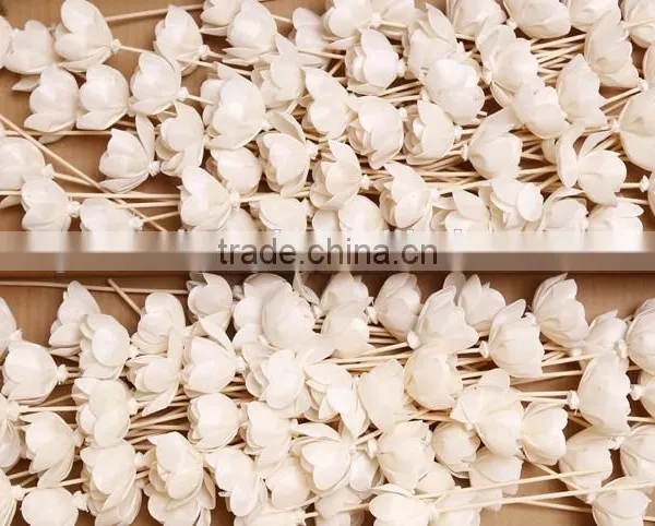 Sola Flower photo-2