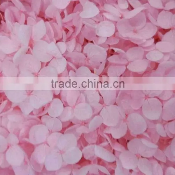 Fresh Artifical Light Pink Hydrangea For Export photo-6