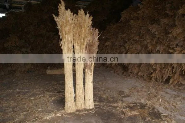 Water Reed Thatch for Roof Thatching, Sweetwater