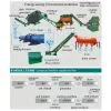 Compound Fertilizer Equipment