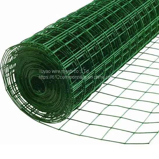 Green Color 1/2 Pvc Coated Welded Wire Mesh photo-4