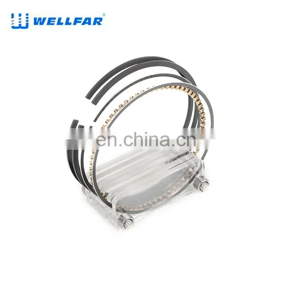 2M4790 Wellfar Ram 1500 Ram 2500 Durango Dakota Piston Rings For Gm 287cid (4.7l) Sohc Edv Engine photo-3