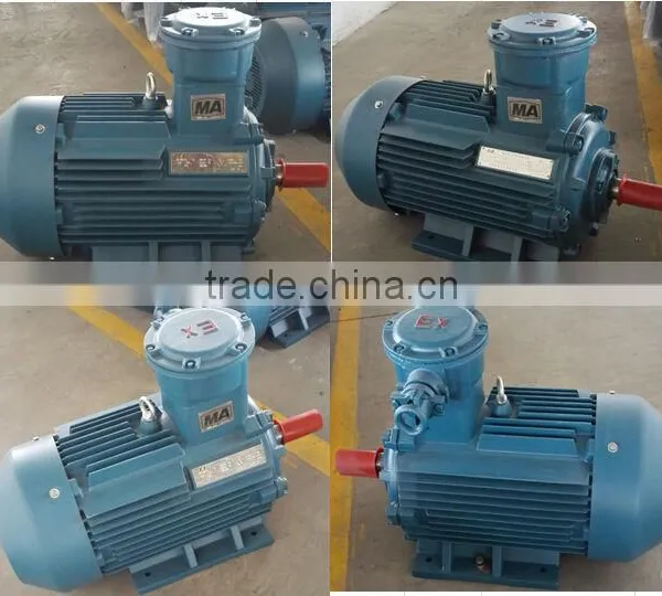 IP55 200kw Three Phase Expolsion Proof Induction Motor photo-4