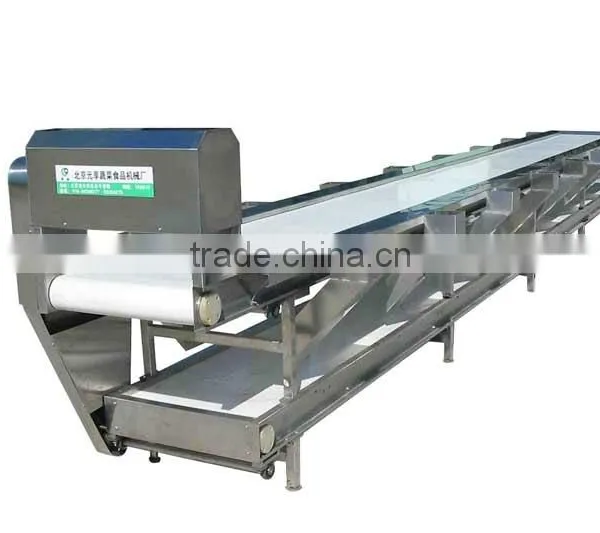 Vegetable Conveyor/Vegetable Sorting Machine photo-3