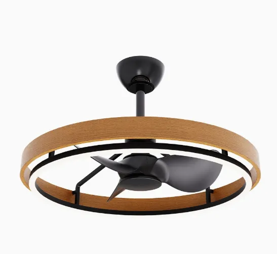 Ceiling Fan Light/variable Frequency Bedroom Fan Light（Wechat:13510231336） photo-2