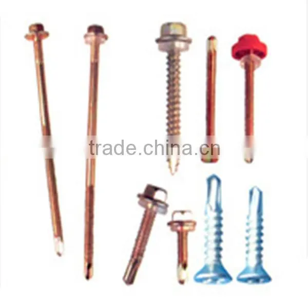 Chipboard Screw China Supplier photo-6