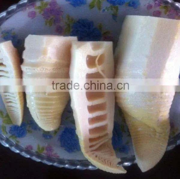 Supply 2016 New Crop Tinned Water Bamboo Shoots With Paper Label Package 2950g2950g