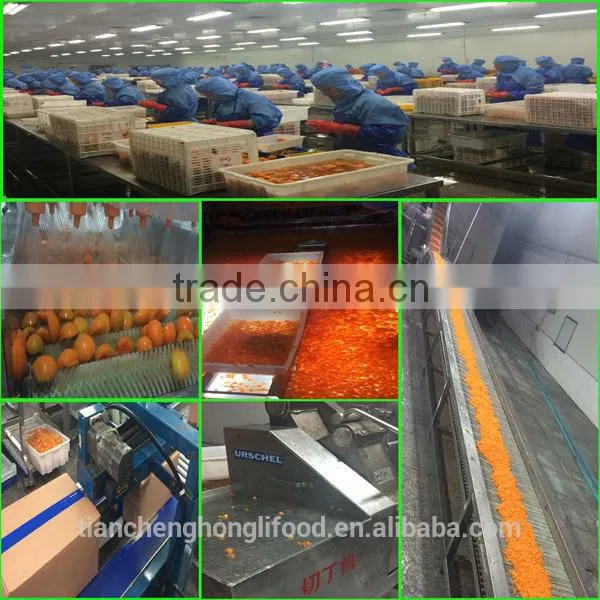 Frozen IQF Apricot Cut photo-3