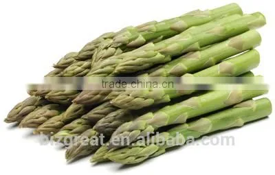 Supplying IQF Vegetables- IQF Frozen Green Asparagus For Sales