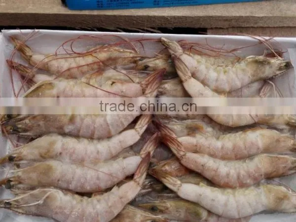 Sea Frozen Vannamei White Shrimp photo-3