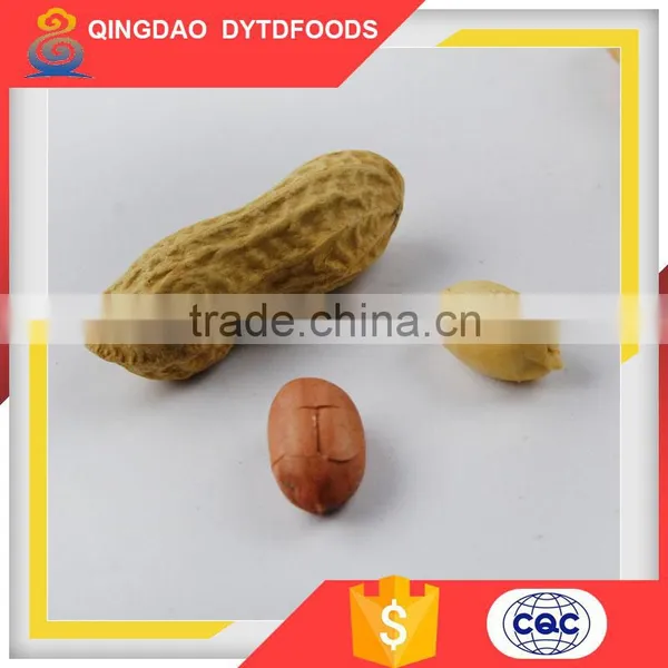 China Roasted Peanut in Shell Roasted and Salted Peanuts Shell photo-3