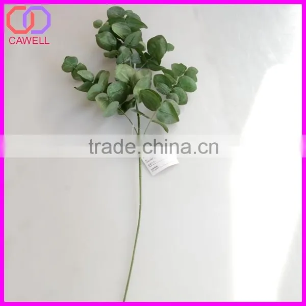 Names of Leaves in India,types of Ornamental Plants photo-3