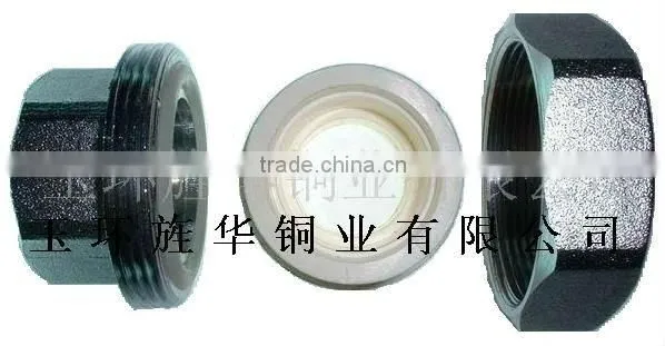Brass Pipe Fitting