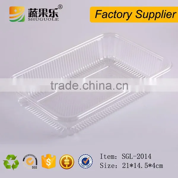 OEM Welcome PET Pepper Packing Trays on Supermarket photo-4