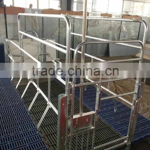 Pig Farrowing Crate photo-2