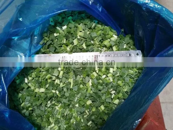 Frozen 2015 Spriing Crop Scallions photo-6
