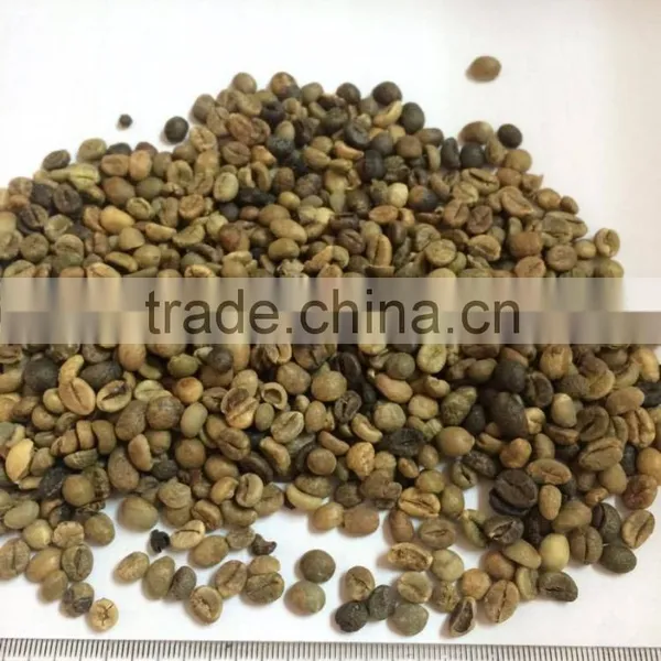 Robusta Green Coffee for Importers photo-3