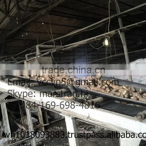 TAPIOCA STARCH/CASSAVA VIET NAM Food Grade photo-6