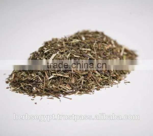 Dried Spearmint Stems Natural Herbs and Spices From Egypt