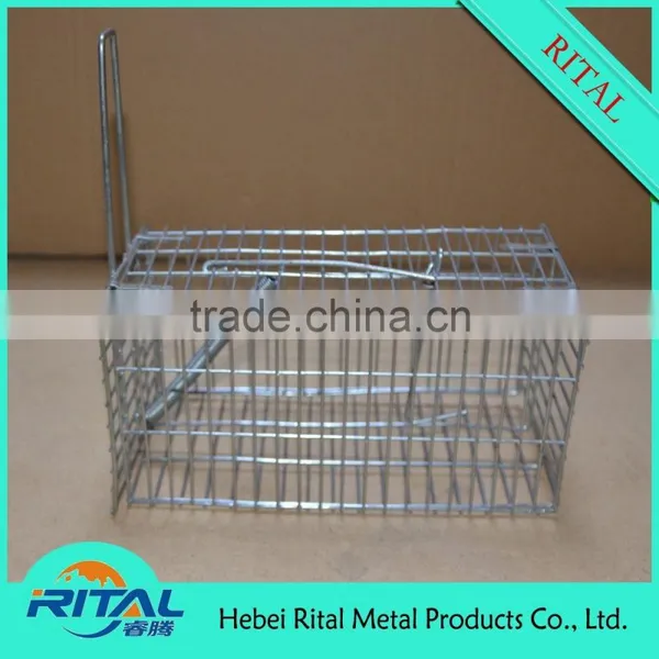 Factory Supply New Model Eco-friendly Mouse Squirrel Trap photo-4