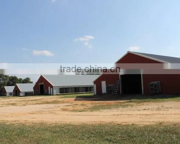 China DFX Cheap Poultry Farming Prefabricated Industrial Chicken House photo-5