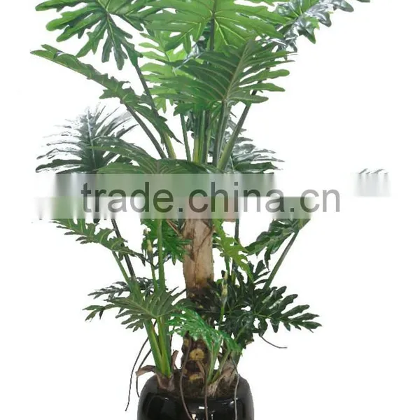 CHY030938 Hotel Decoration Everygreen Dried Plant Philodendron Plant Indoor photo-3