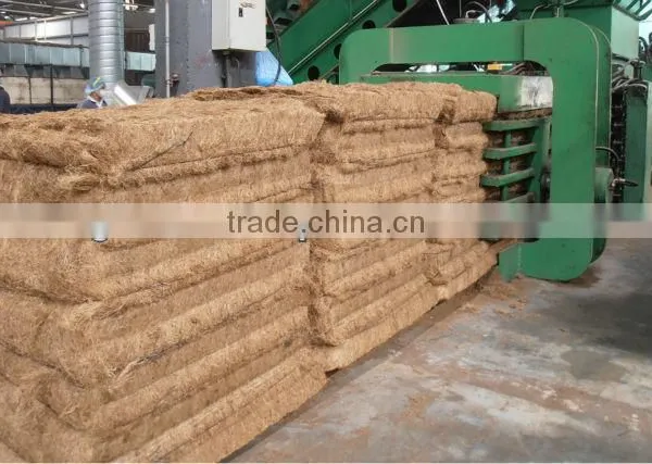 Palm EFB Fiber For Mattress photo-5