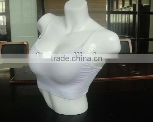 Seamless Bra & Seamless Bra With Cup& Seamless Yoga Bra Sport Bra photo-2