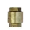 Check Valve