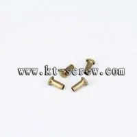 China Screw Manufacturer of Hollow Rivet