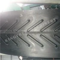 Olive Conveyor Machine