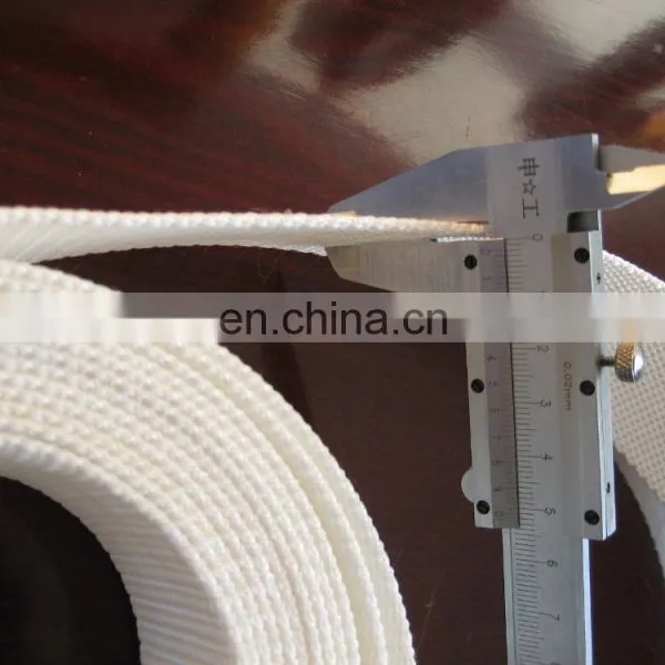 High Strength Eco-friendly Polyester Webbing Tape photo-3