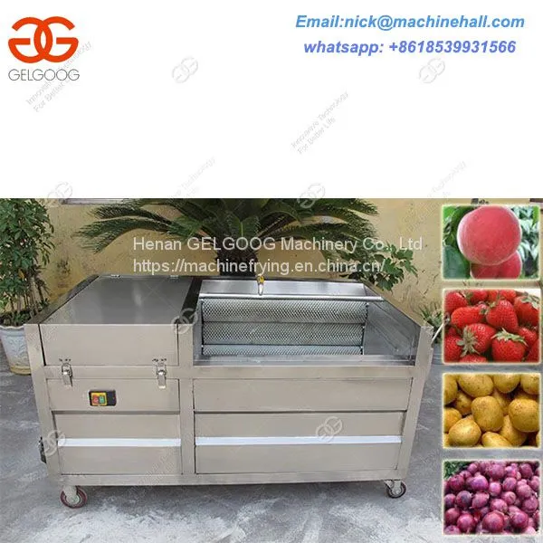 Brush Washing Machine/ Fruit and Vegetable,Potato/Carrot Brush Washer and Peeler Machine photo-3