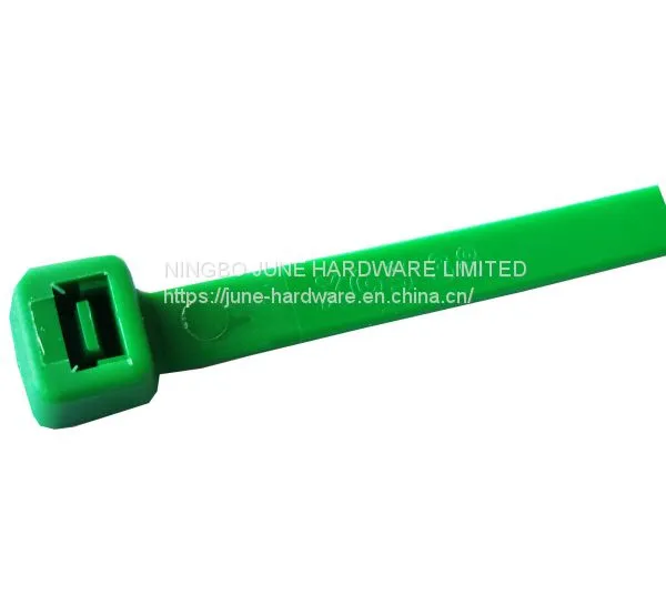 PA66 nylon cable tie