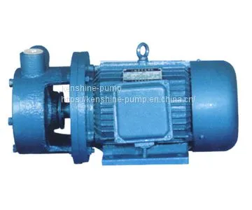 CWX Marine Centrifugal Vortex Pump photo-2