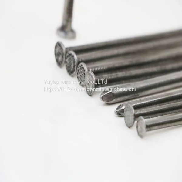 8d 10d 12d Shank Common Nails photo-4