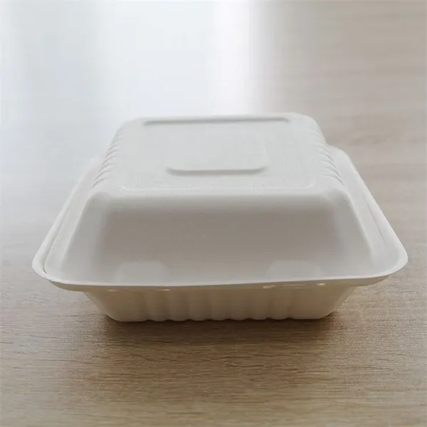 White Take-away Disposable Bagasse Food Containers