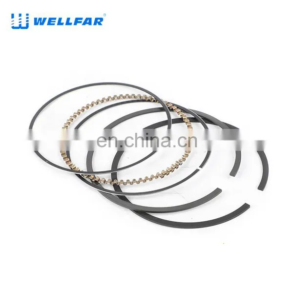 Wellfar Auto Parts Steel Ring Piston 96mm for Chevrolet Trail Blazer Yukon Silverado 2500,3500 Escalade Car photo-2
