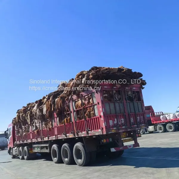 Ulan Bator Logistics, Mongolia Logistics, Mongolia Freight Forwarder From Erenhot photo-4