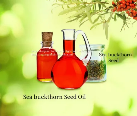 Sea Buckthorn Puree