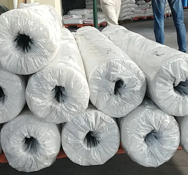 Plastic Packaging Bag (eco-friendly Bag)
