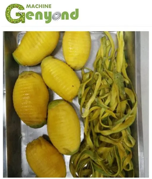 Mango Chips Mango Peeling Machine in Fruit Processing Line photo-4