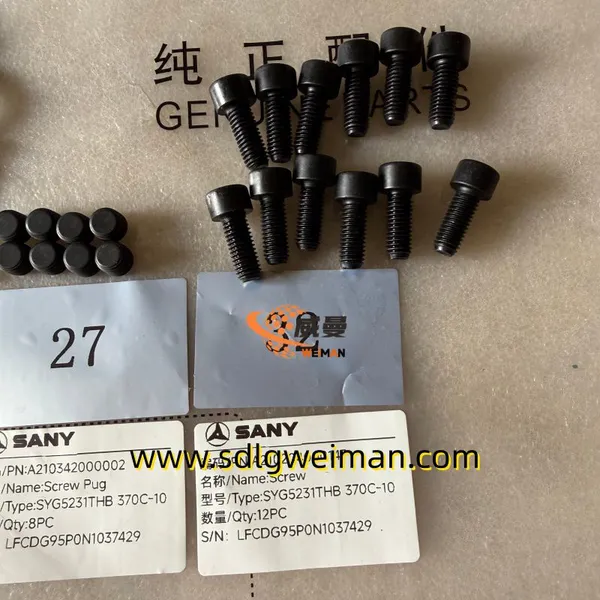 Original Sany Schraubstopfen A210342000002 für Sany-Betonpumpenersatzteile