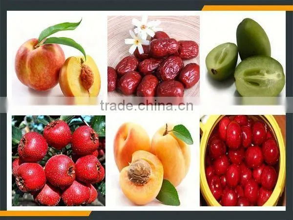 Leader Fruit Core Removing Machine With Website:leaderservice005 photo-4