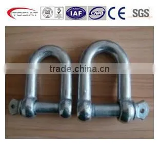 European Standard Galvanized D Shackle and Bow Shackle photo-4