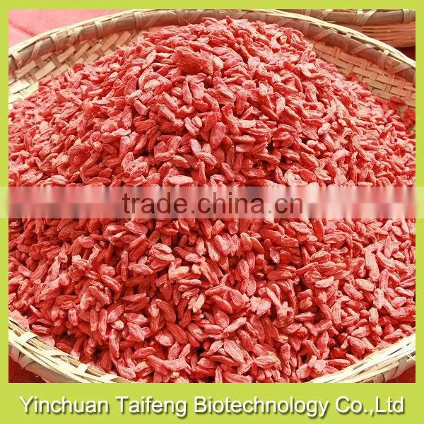 2015's New Crop Gojiberry From China photo-3