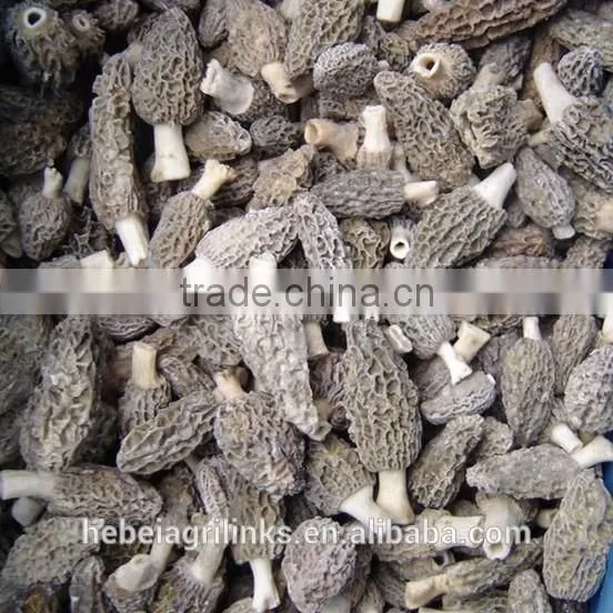 IQF Frozen Style Chinese Morel Mushroom photo-3